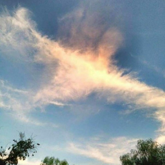 LAST CHANCE ♥️NEW LISTING IF JOINED✌️💕🤗 - Picture 8 of 8